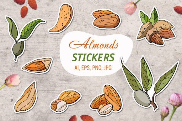 Download Almond/ Printable Stickers Cricut Design - Sticker Collection
